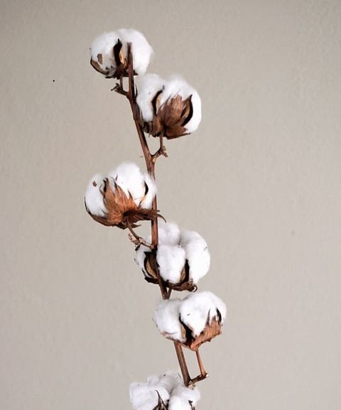 158634449_461906705006617_19444119287726950_n