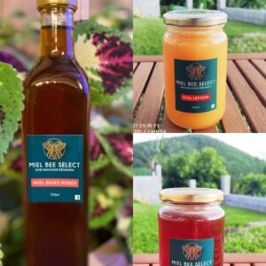 170492646_133098255488500_5378758993351671906_n