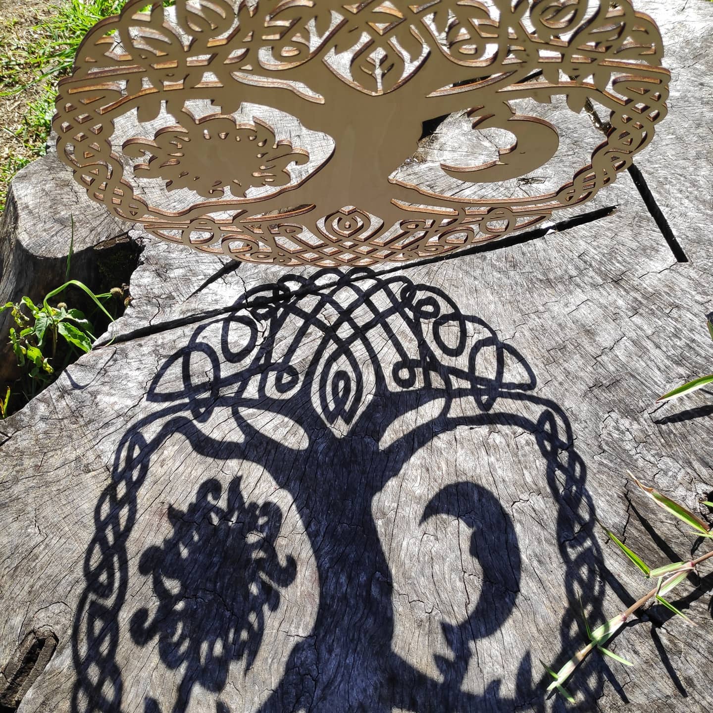 Fleurs de vie – Image 5