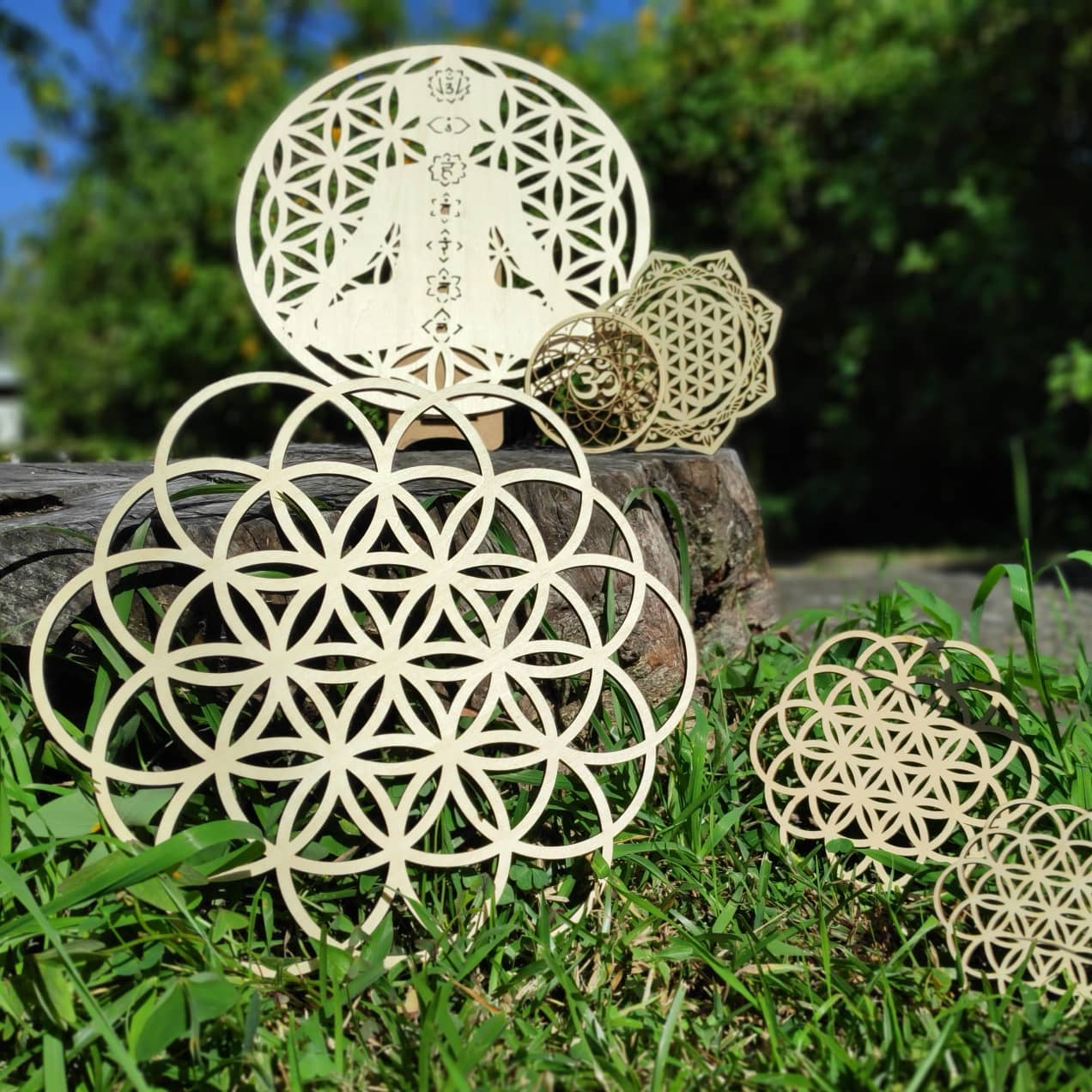 Modèles de fleurs de vie chez MultiPub